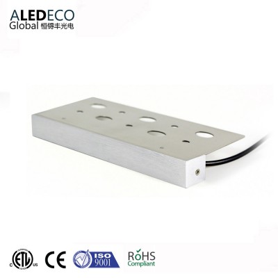 2W Stainless Steel Hardscape LED Light for Gardens